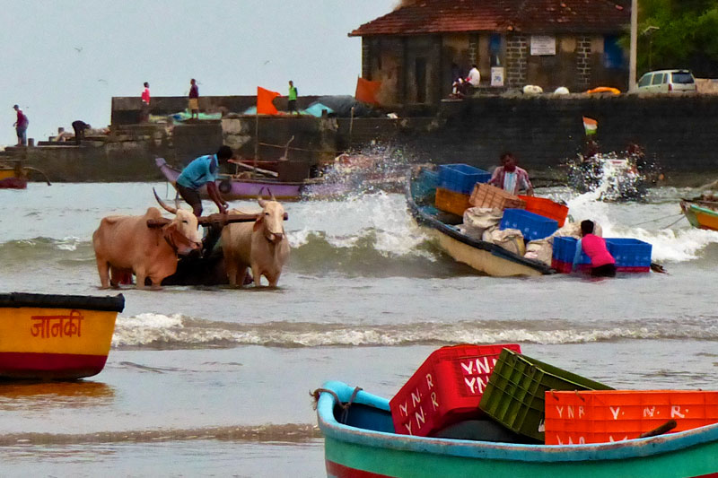 India